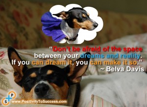 “Don’t be afraid of the space between your dreams and reality. If you can dream it, you can make it so.” ~ Belva Davis