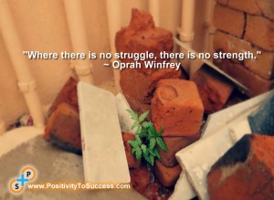 "Where there is no struggle, there is no strength." ~ Oprah Winfrey
