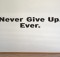 Never Give Up Ever
