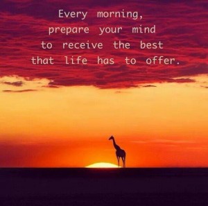 every morning prepare your mind to receive the best that life has to offer