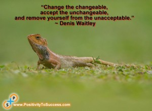 “Change the changeable, accept the unchangeable, and remove yourself from the unacceptable.” ~ Denis Waitley
