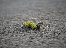 stronger than you think