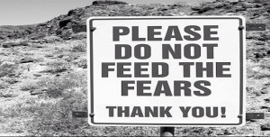 feed the fear
